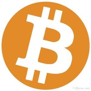 ビット コイン オンライン カジノ (Bitcoin Casino Online)